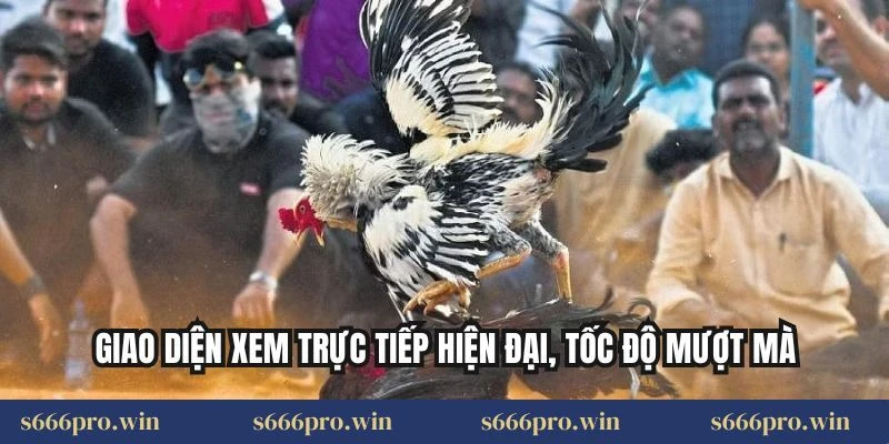 Giao diện xem trực tiếp hiện đại, tốc độ mượt mà